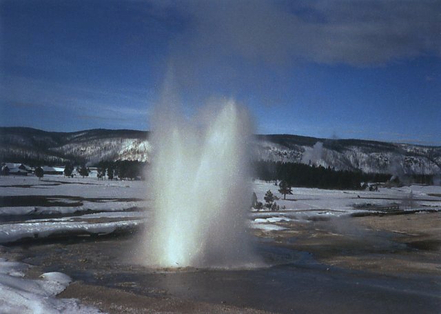 Plume Geyser, Winter, Yellowstone