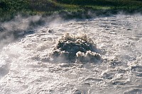 Churning Cauldron, Mud Volcano Trail, Yellowstone