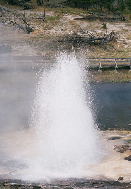 Artesia Geyser, Lower Geyser Basin, Yellowstone