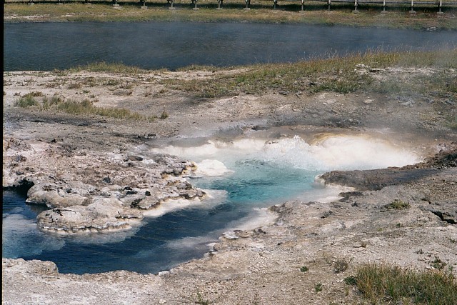 Young Hopeful and Gray Bulger Geysers, Lower Geyser Basin, Yellowstone