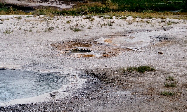 Tuft Geyser, Lower Geyser Basin, Yellowstone