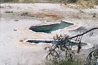 Spring Near Buffalo Pool, Lower Geyser Basin, Yellowstone
