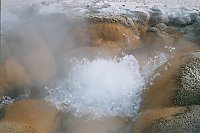 Shell Spring, Biscuit Geyser Basin, Yellowstone