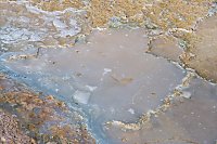 Travertine Ice, Canary Spring, Mammoth, Yellowstone
