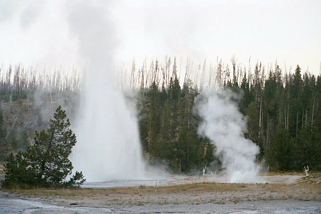 Grotto Fountain and South Grotto Fountain Geysers, Yellowstone